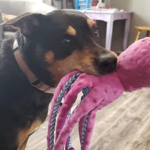 Meet your Posher, Kathy